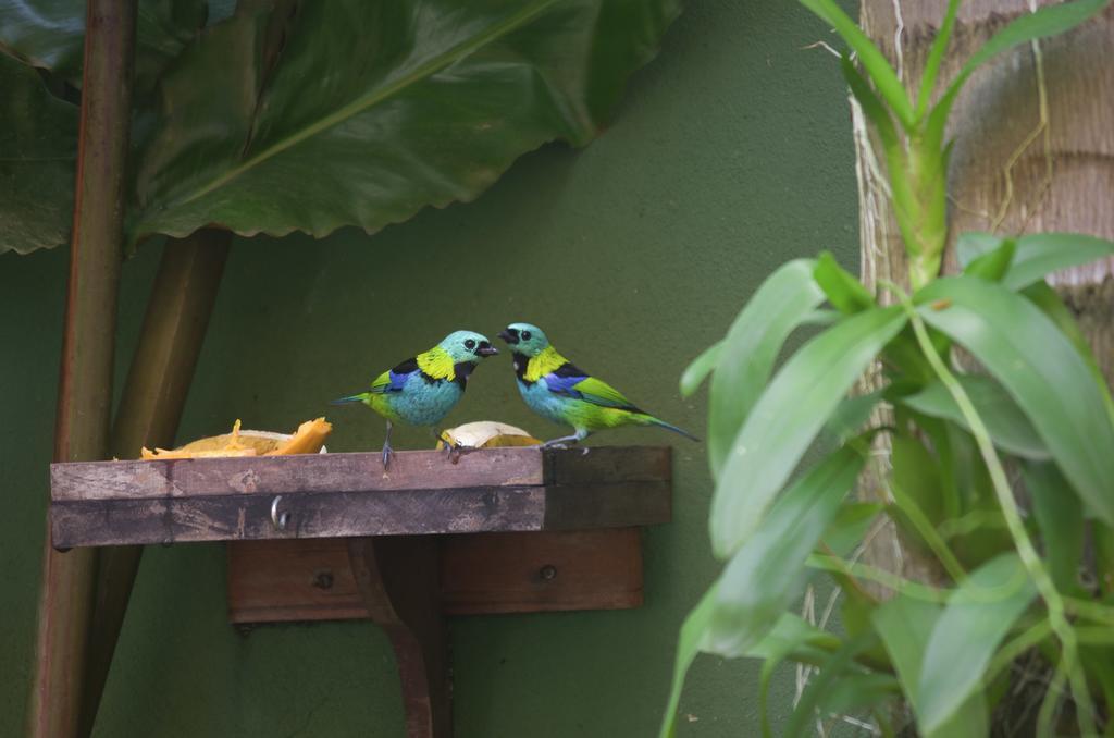 Refúgio Tropical Inn